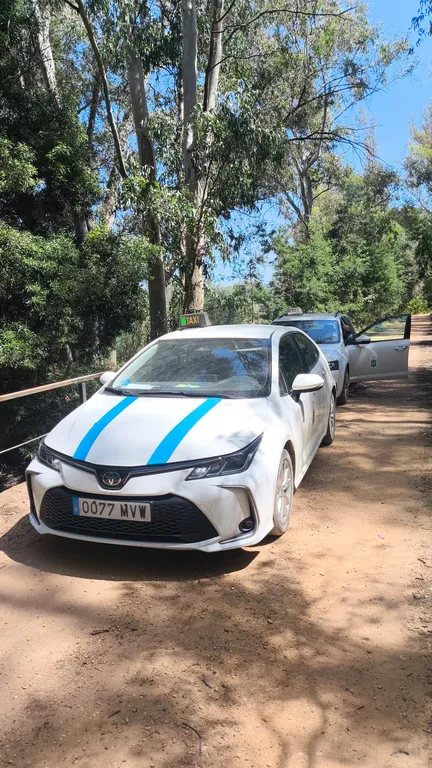 Taxi de Huelva aparcado en un camino de arena entre eucaliptos, en un paraje de la provincia